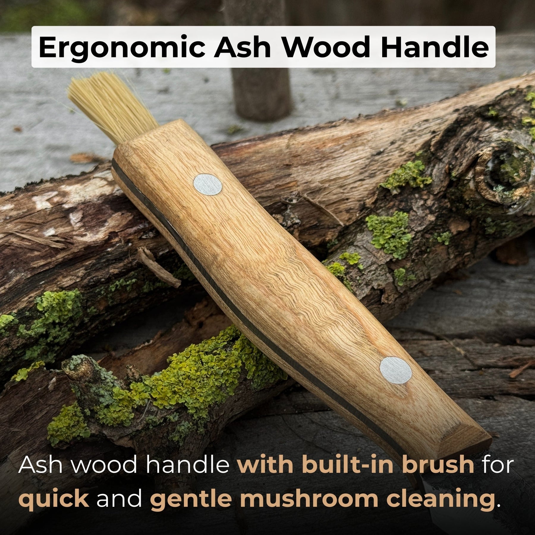Hand-Forged Knife for Mushroom Foraging, 8 cm (3.15 inches)
