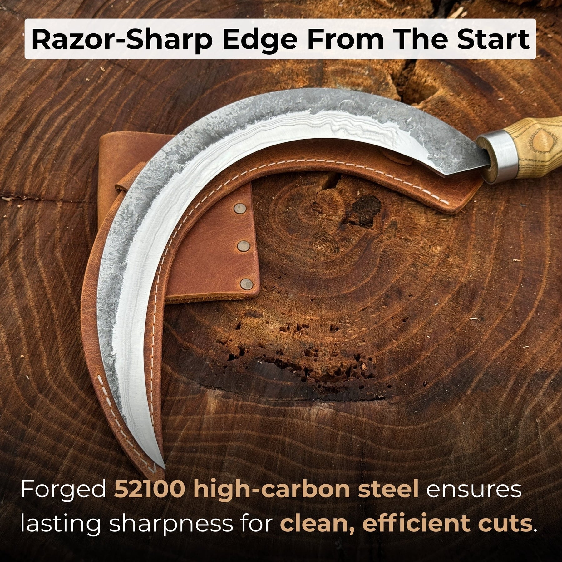 Hand-Forged Large Sickle, ⌀19 cm (7.5 inches) Blade, Leather Belt Attachment