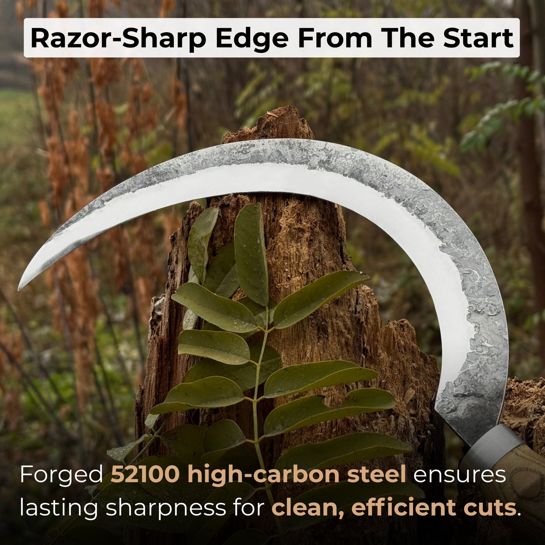 Hand-Forged Large Sickle, ⌀19 cm (7.5 inches)