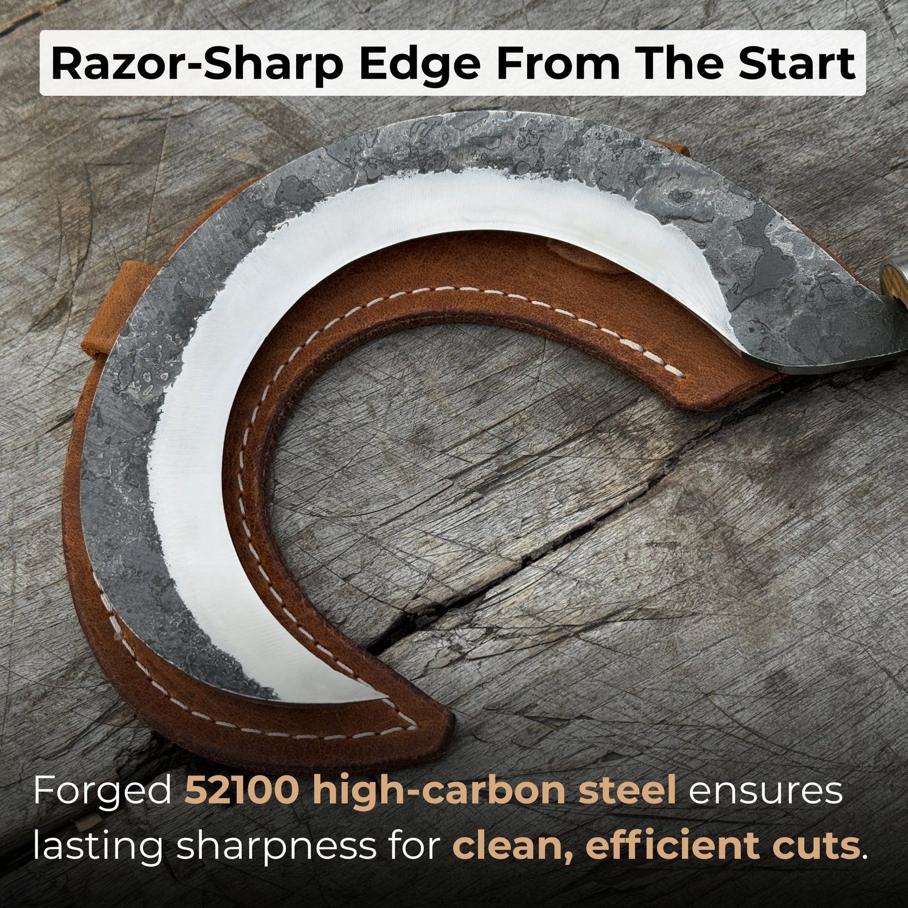 Hand-Forged Small Sickle, ⌀9 cm (3.54 inches)