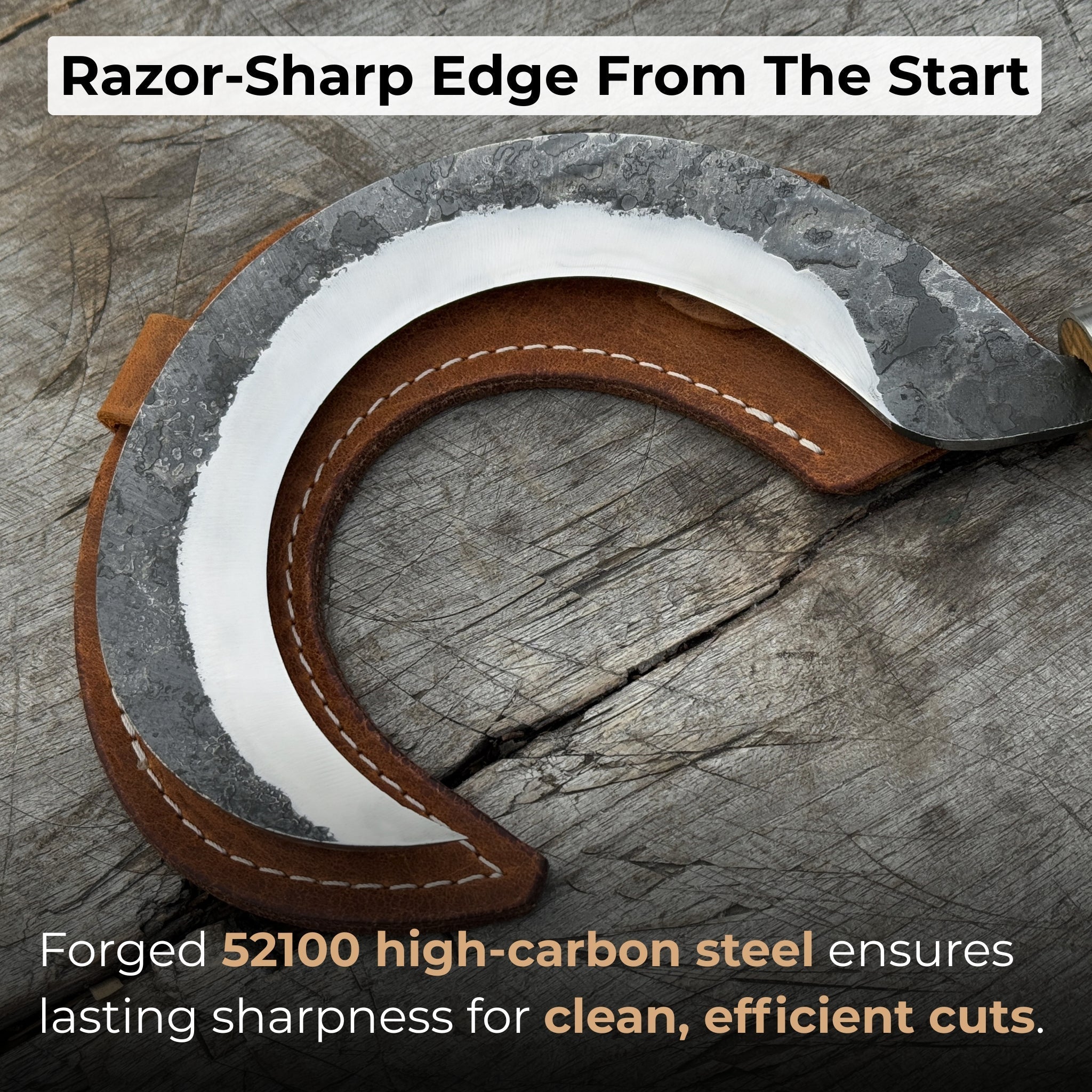 Hand-Forged Small Sickle, ⌀9 cm (3.54 inches)