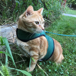Kitty Holster Cat Harness by Crazy K Farm, product photo 3 of 49