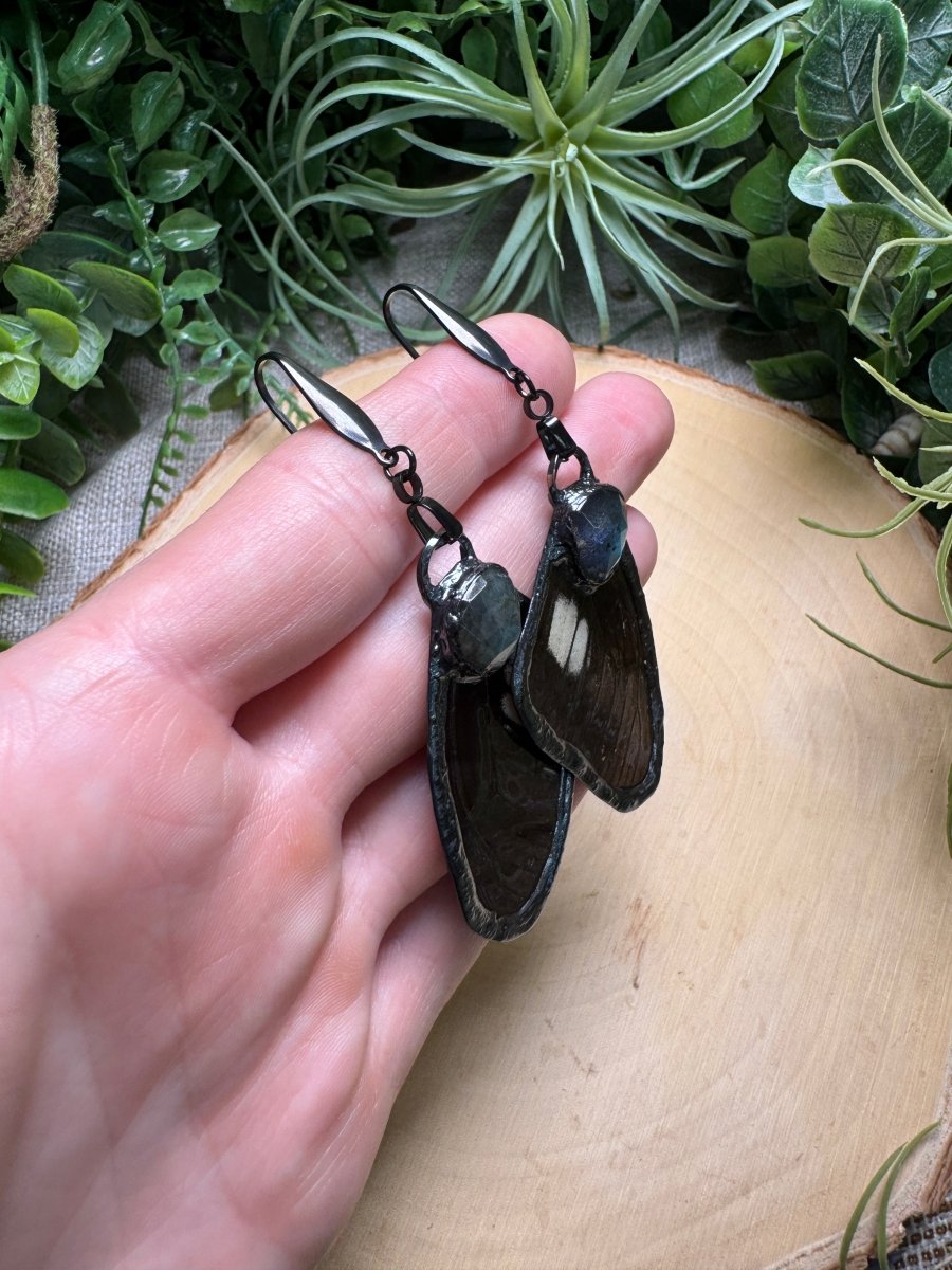 Labradorite and Butterfly Wing Earrings