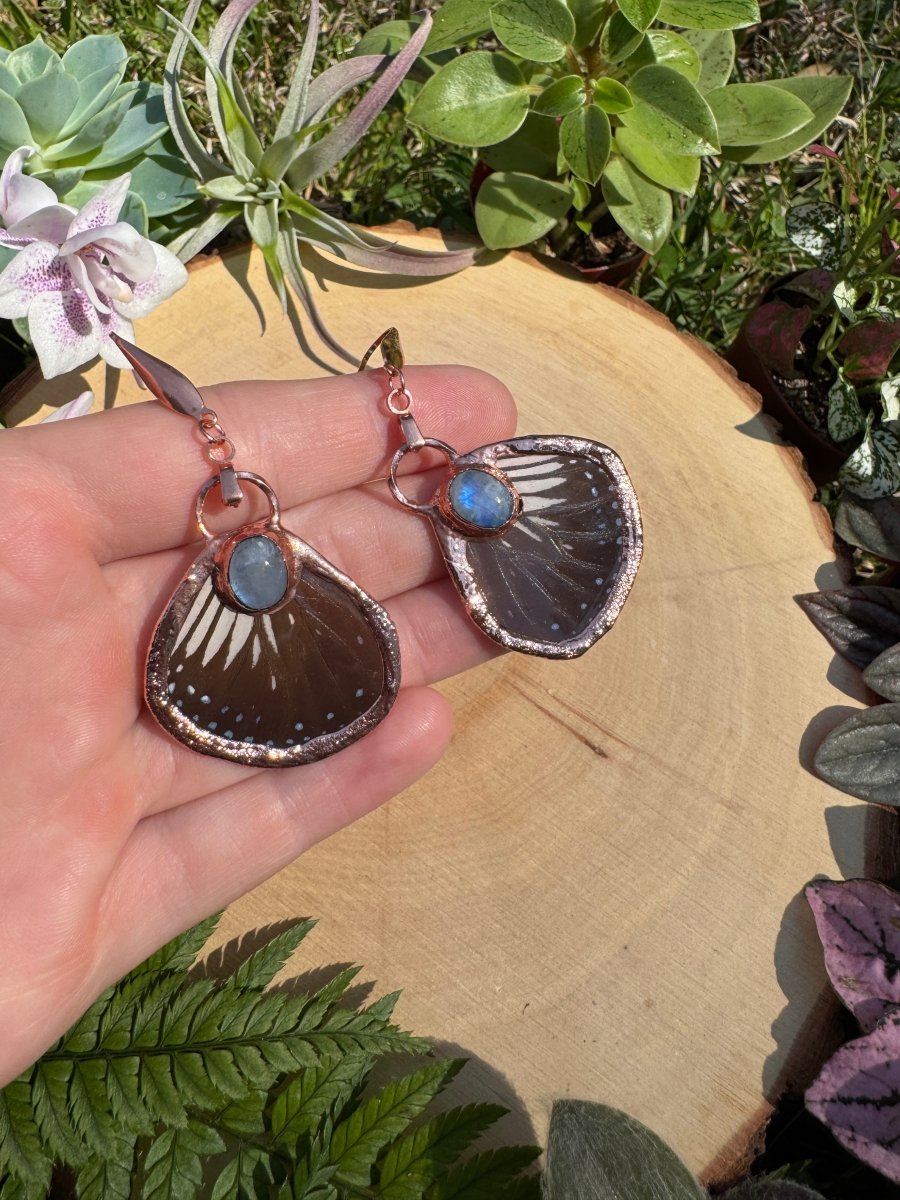 Moonstone and Butterfly Wing Earrings