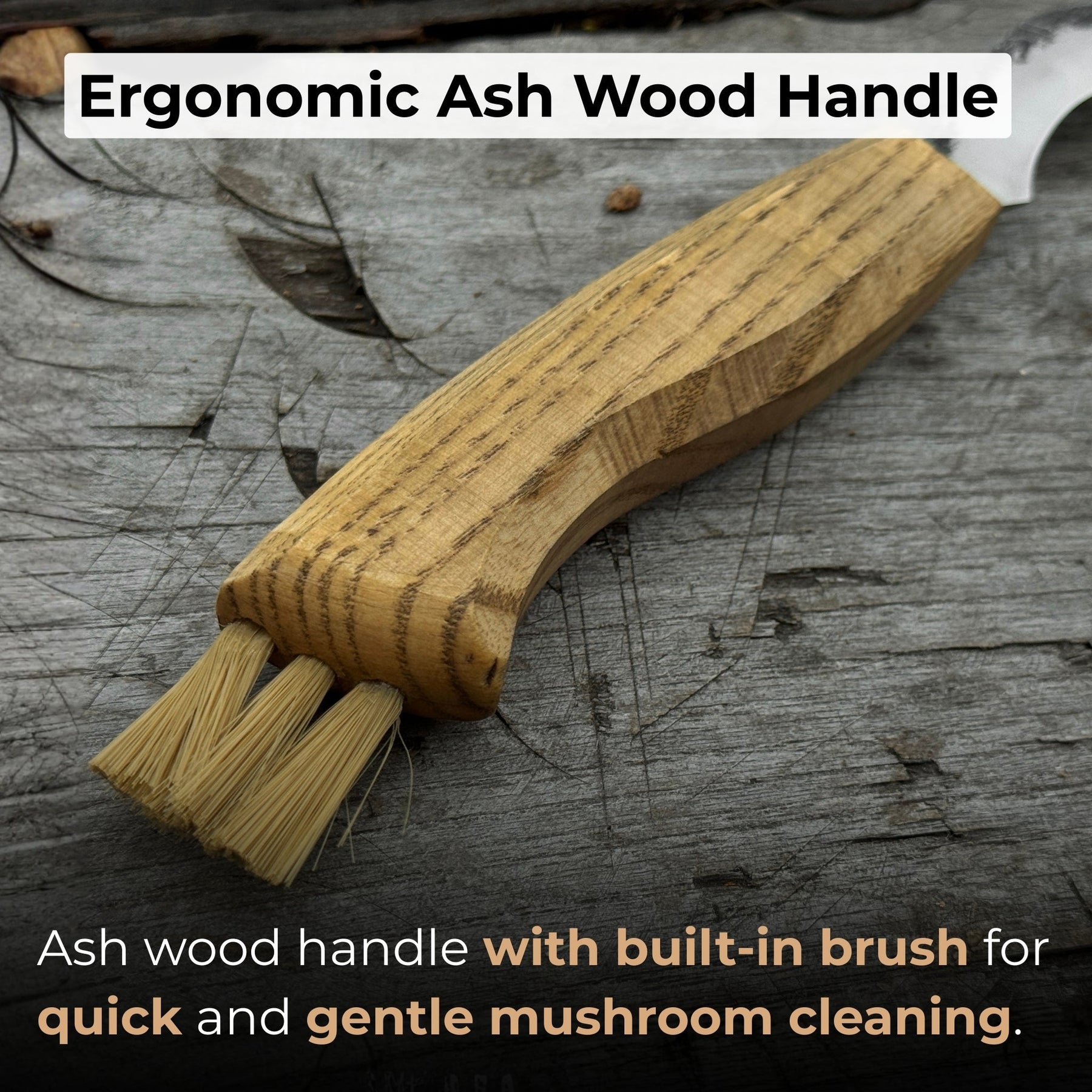 Mushroom Knife for Forest Walks, 6 cm (2.36 inches)