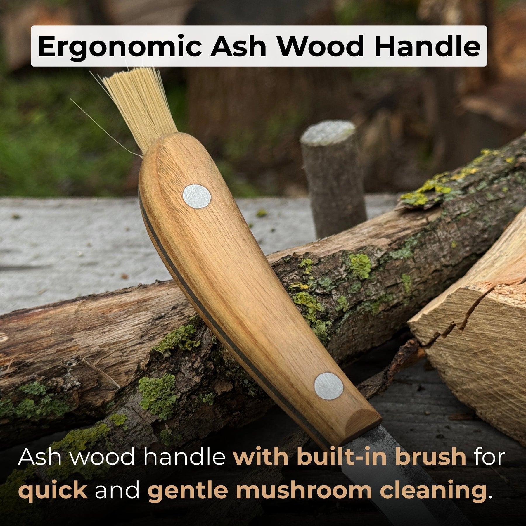 Mushroom Knife for Forest Walks, 6.5 cm (2.56 inches)