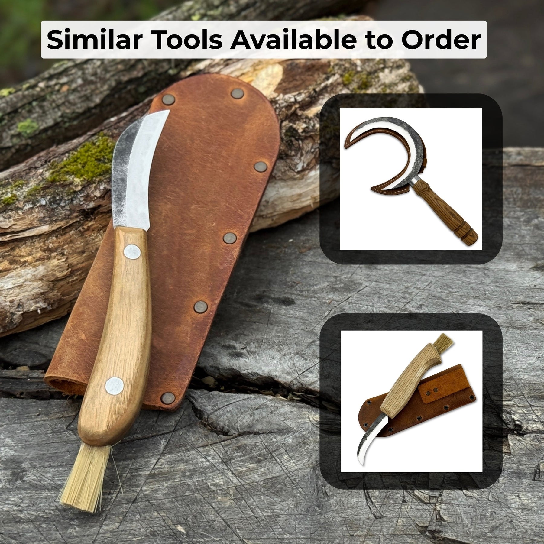 Mushroom Knife for Forest Walks, 6.5 cm (2.56 inches)