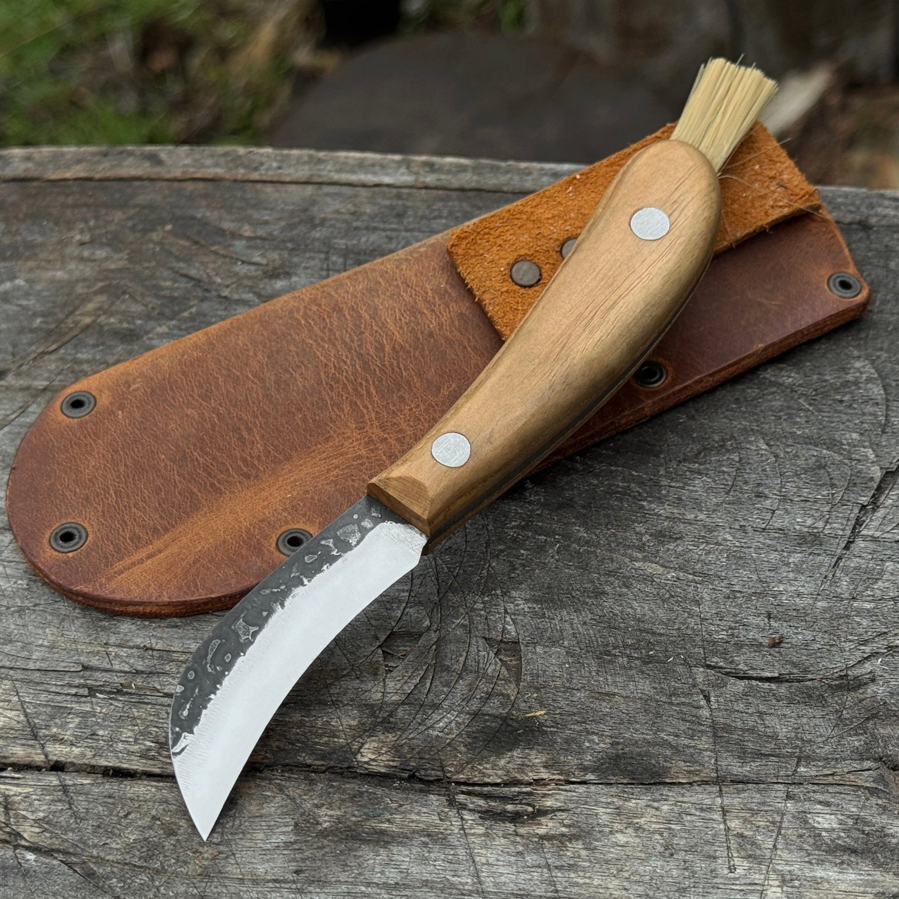 Mushroom Knife for Forest Walks, 6.5 cm (2.56 inches)