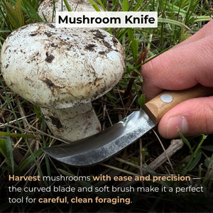 Mushroom Knife for Forest Walks, 6.5 cm (2.56 inches)
