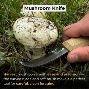 Mushroom Knife with Brush For Harvesting, 7.5 cm (2.95 inches)