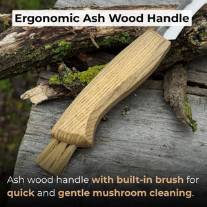 Mushroom Knife with Brush For Harvesting, 7.5 cm (2.95 inches)
