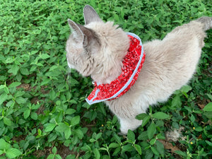 Prey Saver Cat Collar by Crazy K Farm, product photo 1 of 23