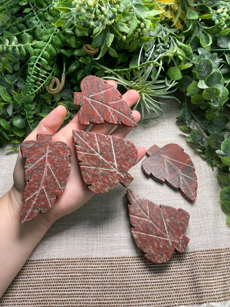 Red Que Sera Leaf