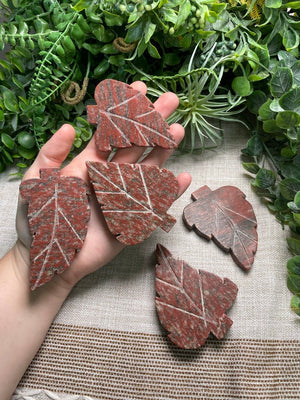 Red Que Sera Leaf