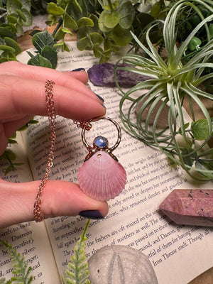 Scallop Shell and Moonstone Necklace