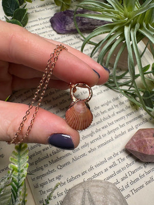 Scallop Shell Necklace