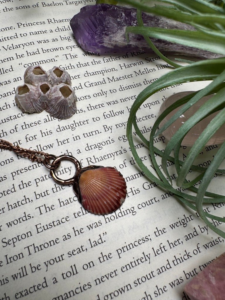 Scallop Shell Necklace
