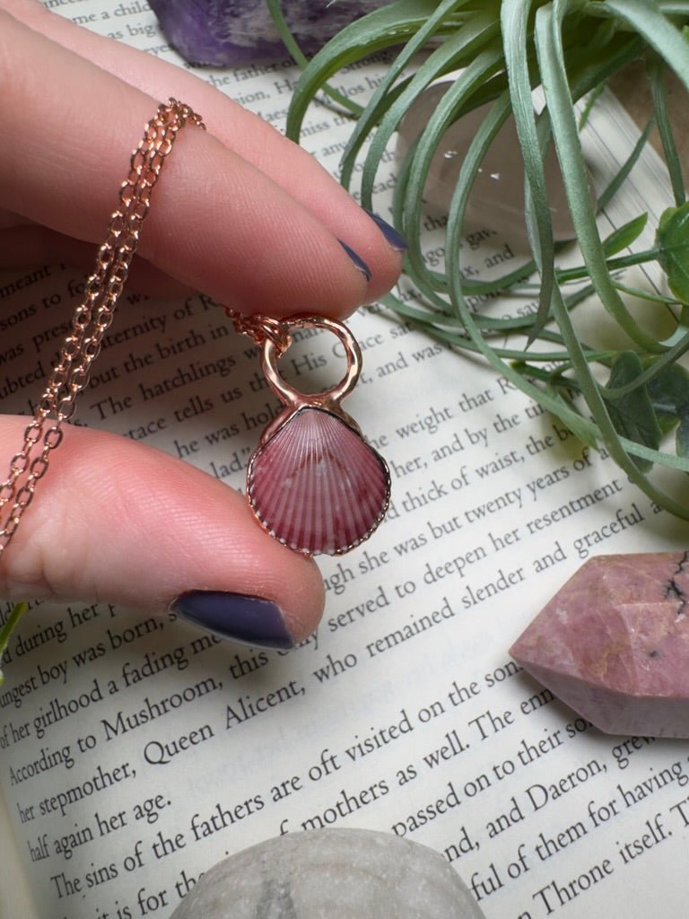 Scallop Shell Necklace