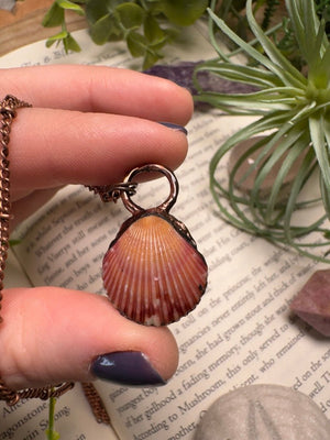 Scallop Shell Necklace