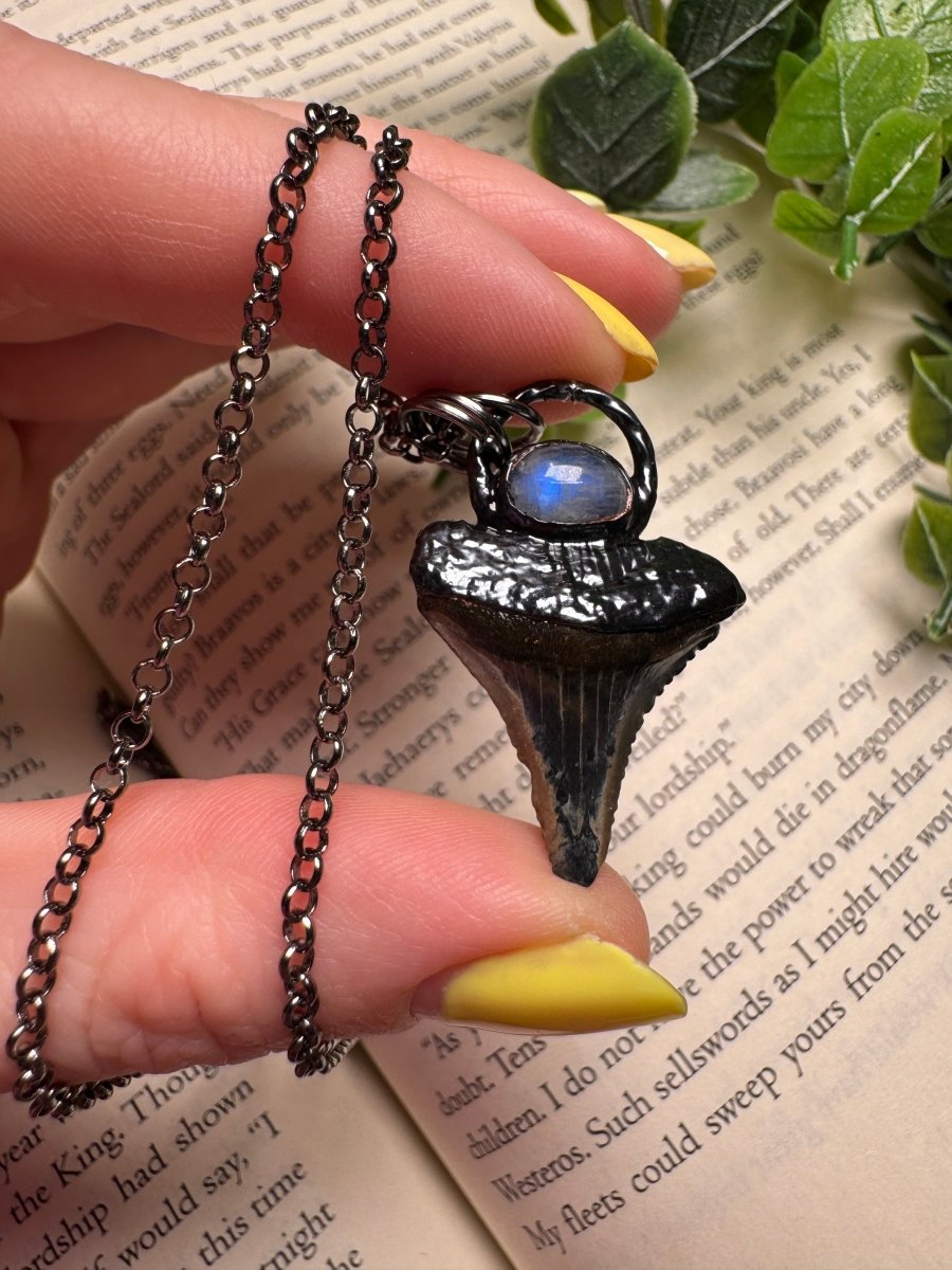 Shark Tooth and Moonstone Necklace