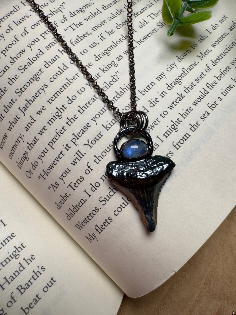 Shark Tooth and Moonstone Necklace