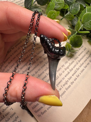 Shark Tooth Necklace