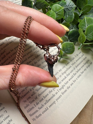 Shark Tooth Necklace