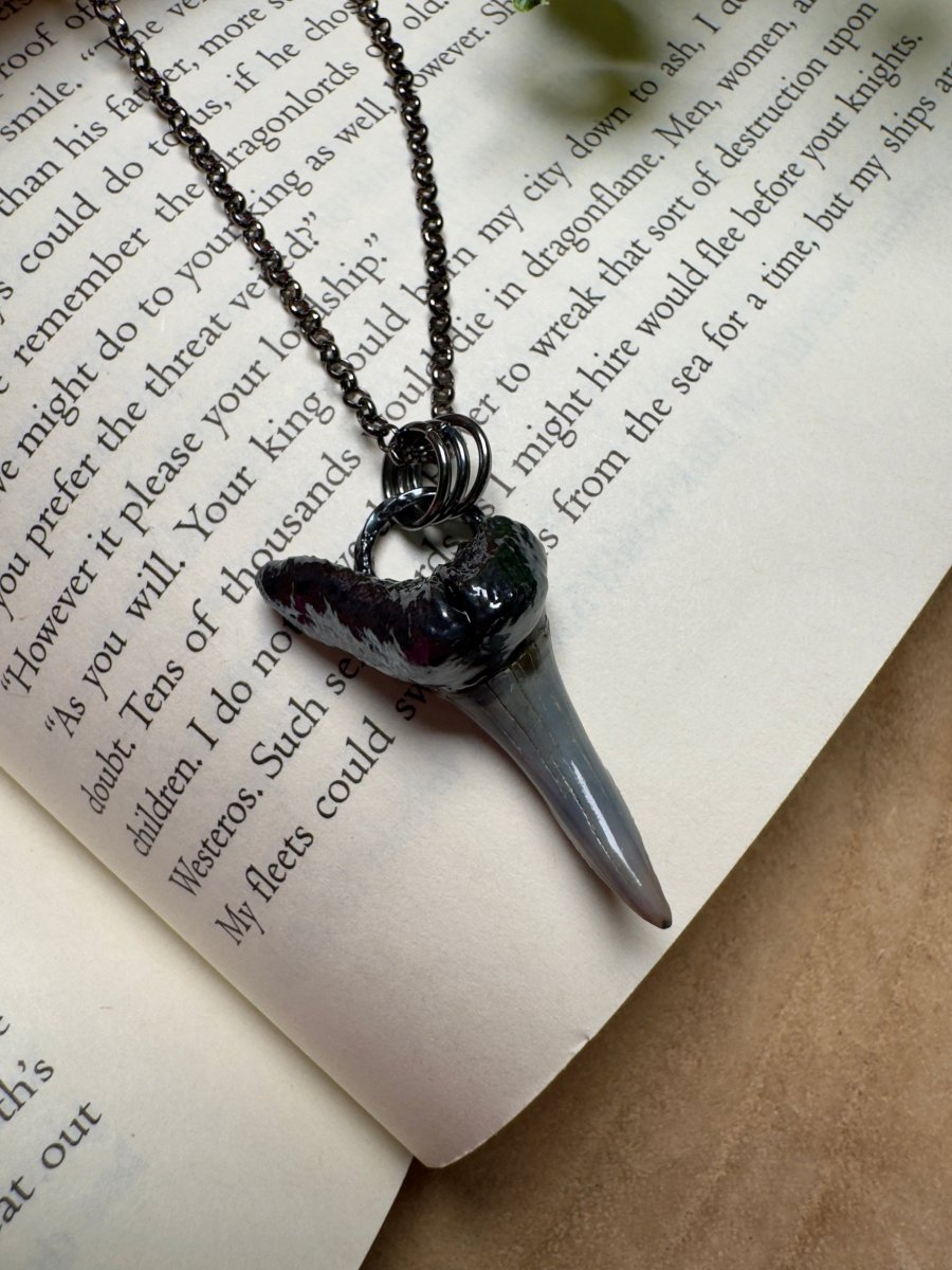 Shark Tooth Necklace