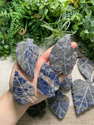 Sodalite Leaf