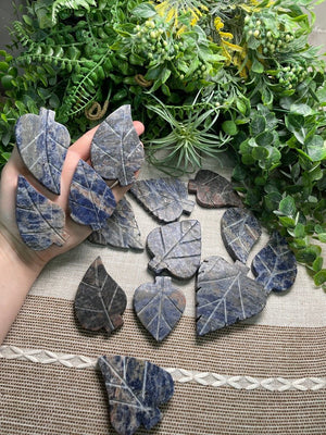 Sodalite Leaf