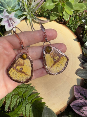 Tigers Eye and Imperial Moth Wing Earrings