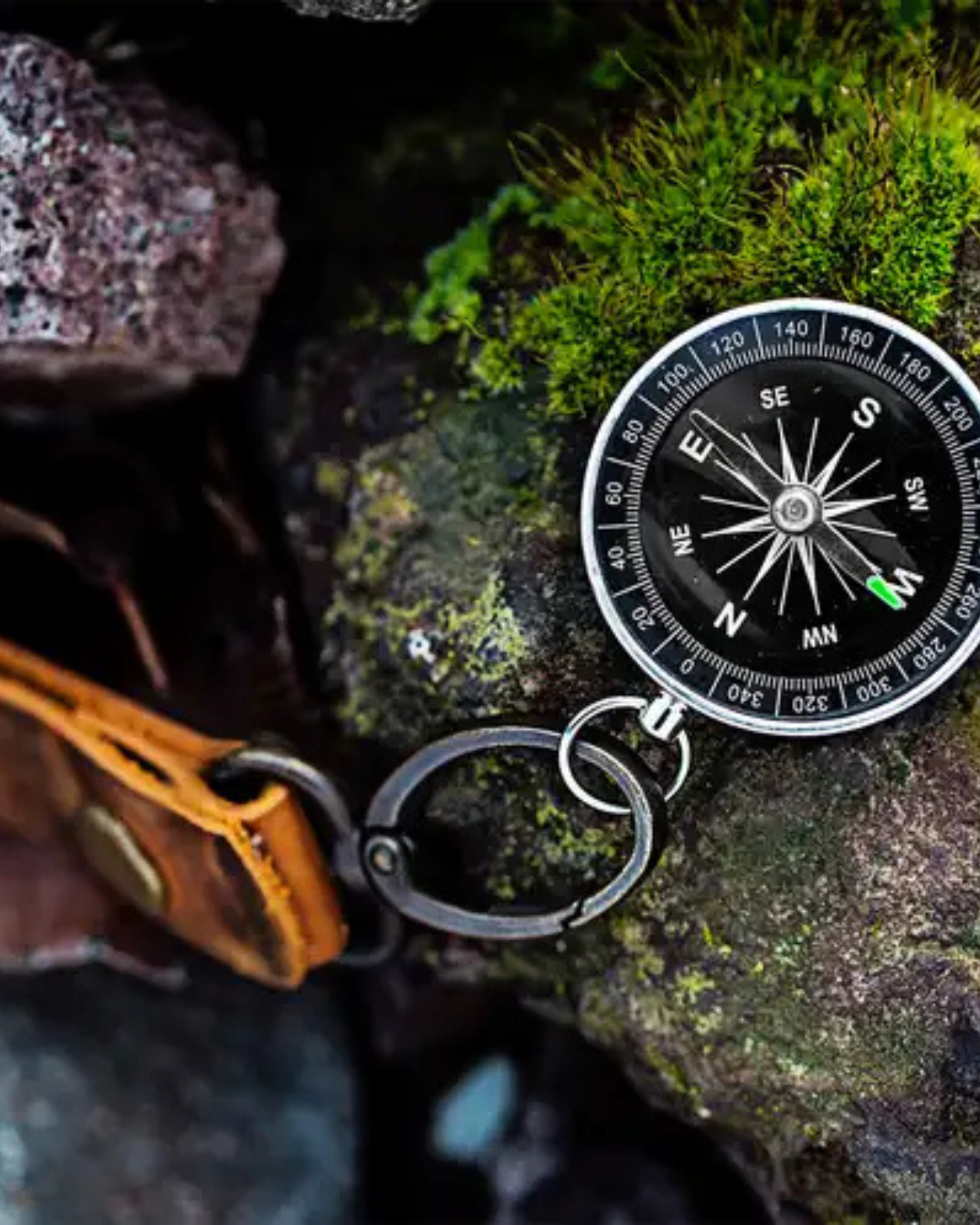 Trailblazer | Earthy Leather · Forest Woods