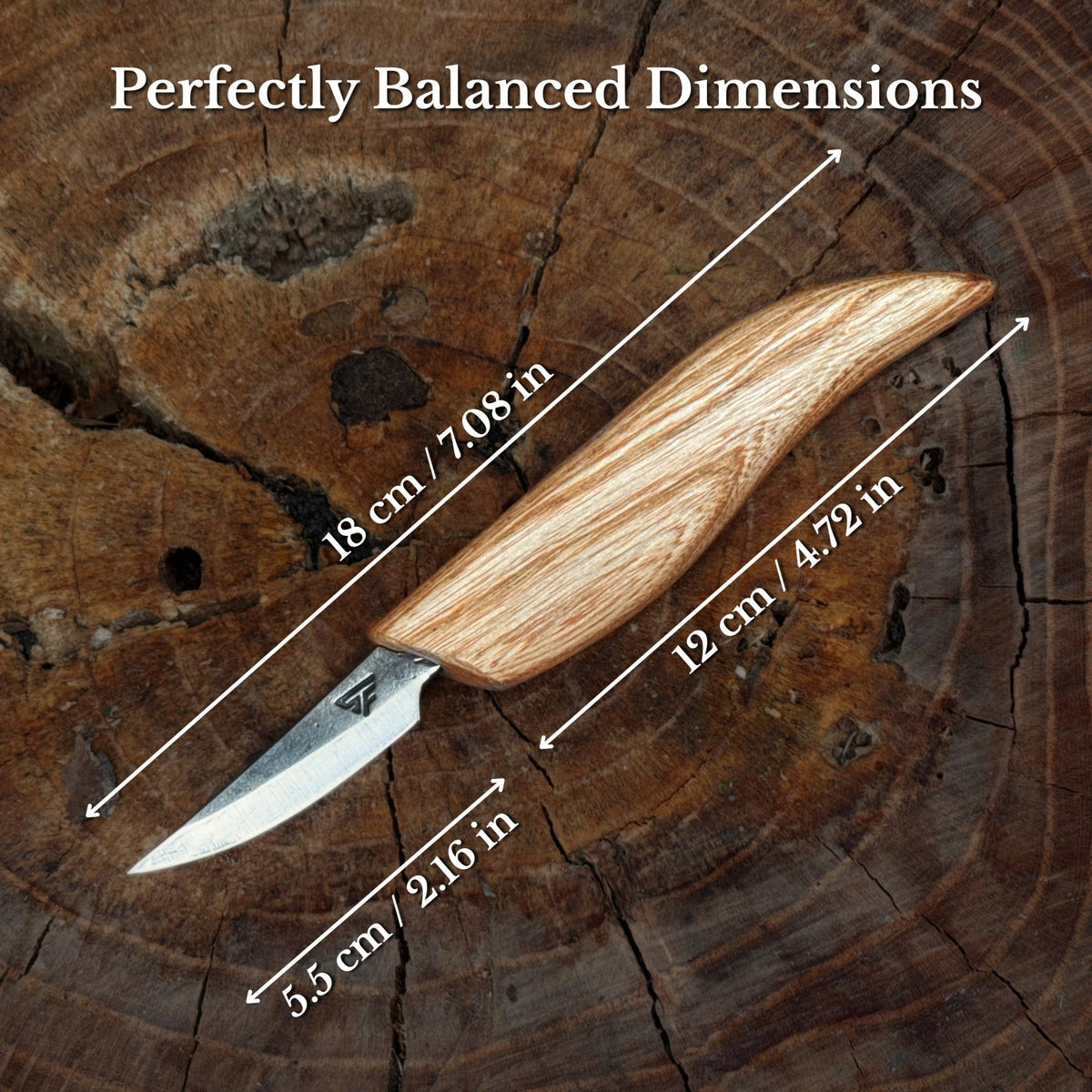 Whittling Sloyd Knife with Leather Sheath by Sharky Forged Steel Tools — view 2