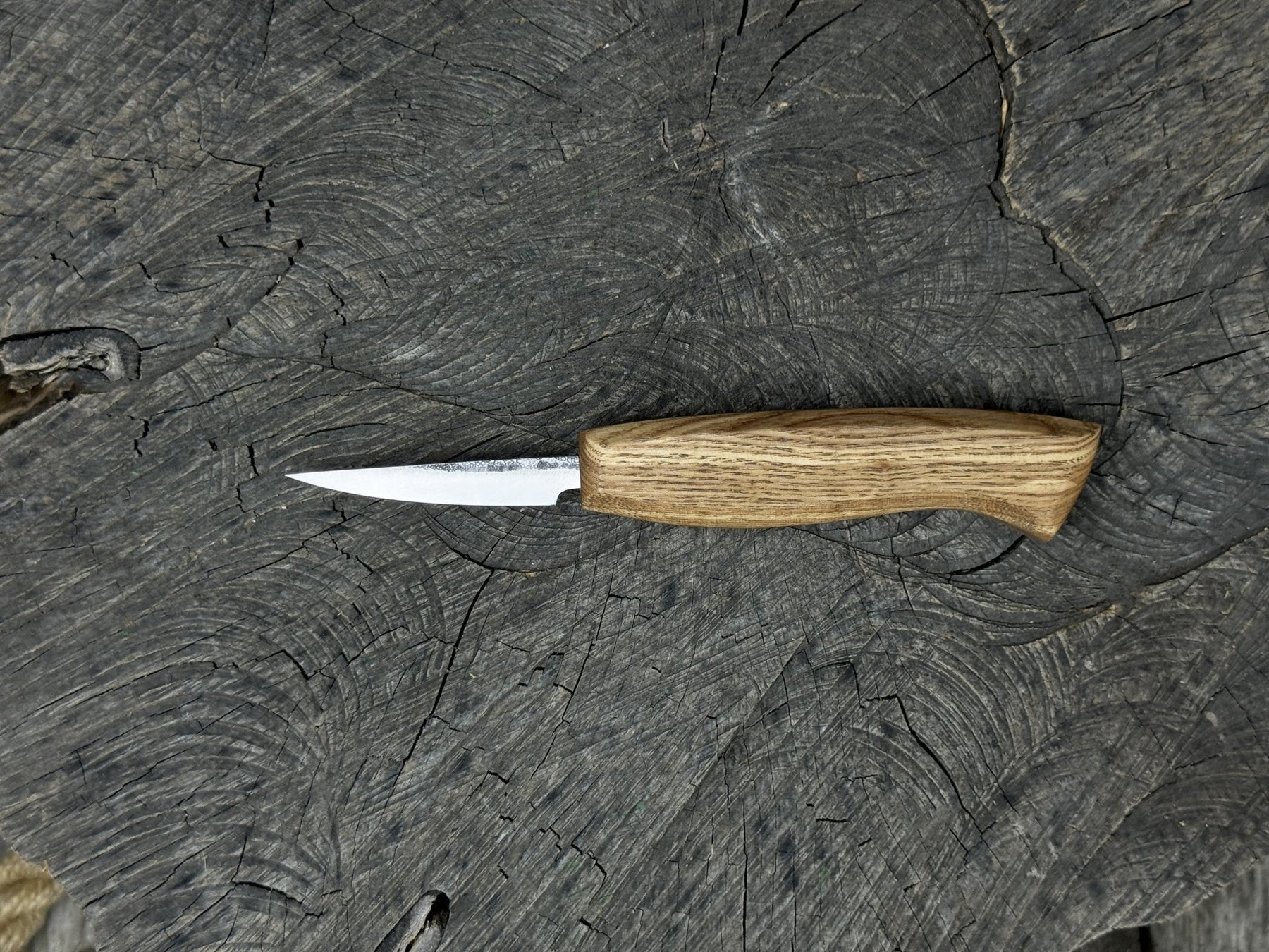 Wood Carving Sloyd Knife, Blade 6.5 cm (2.56 inches)