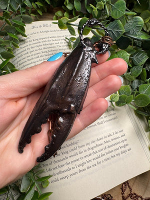XL Crab Claw, Labradorite, and Grape Agate Necklace